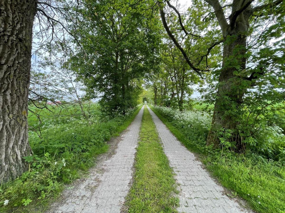 נורדן Mooi Stuv , Maisonettenwohnung , Gulfhof , Kachelofen מראה חיצוני תמונה